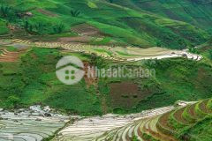 Mảnh đất 100m2 vị trí đắc địa bậc nhất y tý để đầu tư