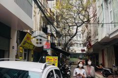 Bán nhà kinh doanh nguyễn chánh cầu giấy, hà nội, 65m2, 4 tầng, 8 tỷ giá rẻ lh 0339147816