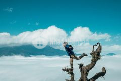 250m2 đất trung tâm y tý giá thích hợp để đầu tư