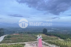 Mua đất tặng vàng đất tại lâm hà view săn mây, đầu tư nghỉ dưỡng chỉ 1.25 tỷ