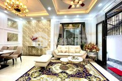 Lạc long quân đẳng cấp kd vp đỉnh siêu lợi ích dt 155m2 x 9 tầng 31 tỷ.