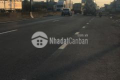 2,9công vườn ấp 5,tam hiệp,châu thành,tiền giang