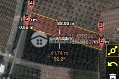 Đất rẻ thơm trung hòa, cầu lý, tân an, long an còn 2 miếng