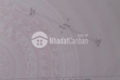 Đất giá cực rẻ tân xuân, ba tri, bến tre