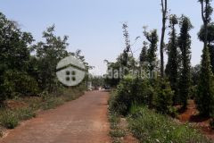 D115 bán đất hẻm phan huy chú cách trục đường chính 60m thuộc hoà xuân mặt tiền hẽm