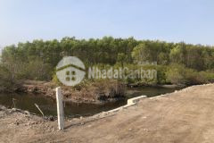 1 mẫu 50m đường ra biển 8,7 tỷ tân thắng hàm tân