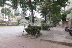 Mặt phố võ chí công 130m2x 5tầng thang máy mặt tiền 14m vỉa hè kinh doanh đỉnh giá 46 tỷ