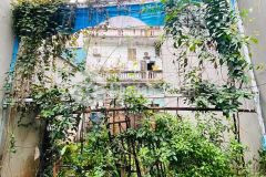 Phố trạm long biên bán 59m2 đất nhỉnh 3 tỷ