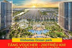 Chỉ cần bỏ 20 giá trị căn hộ để sở hữu căn hộ cao cấp nhất tại vinhomes ocean park.