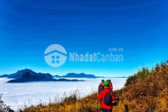 Đất nền y tý, đón đầu quy hoạch thành sapa2. giá đang còn rất rẻ chỉ từ 1 triệu 1m2