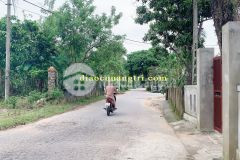 Kpl nguyễn tri phương cam lộ, giá đầu tư.