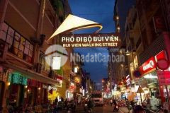 Măt tiên phô tây bui viên,cho thuê 50 triêu, gia 20 ty