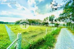 Đất vườn củ chi 500m2 giá ngộp 980tr, sổ hồng riêng. chính chủ gửi.