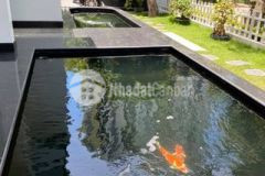 Bán biệt thự sân vườn hồ cá vườn tùng ecopark long biên