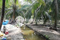 Bán đất tiền giang giá rẻ