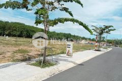 Đầu tư gì với 599 triệu