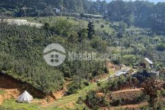 Nợ nần chồng chất cần ra đi nhanh lô đất view đỉnh nhất nhì xuân trường đà lạt