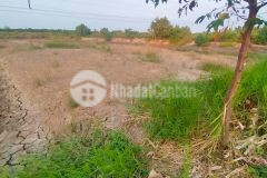 Bán đất nông nghiệp giá mềm cho anh em thiện chí mua ngay