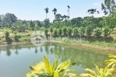 Siêu phẩm nơi nghỉ dưỡng tốt nhất cho tuổi già