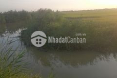 Bán đất ở tân xuân ba tri giá cực rẻ