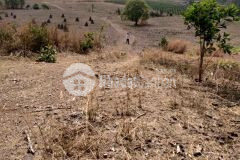 7 mẫu kp 2 tân nghĩa hàm tân 1,1 tỷ mẫu