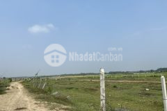 Đất vườn 500m2 ở củ chi đường oto đến đất giá chỉ 900 triệu