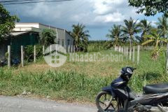 Đất mặt tiền giá rẻ ba tri bến tre