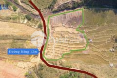 Đất đầu tư, kinh doanh homestay view đẹp nhất nhì tả phìn, sapa, 1100m2