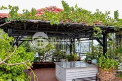 Một căn cực hot, đường 38 hb phước thủ đức, 5 tầng nhỉnh 7 tỉ