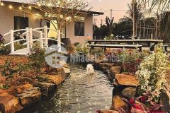 Đất vườn giá rẻ tân phú đồng nai