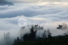 Đất nền y tý, vị trí vip, view ruộng bậc thang săn may đẹp xuất sắc