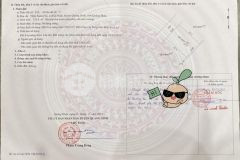 Bán lô đất biển hải ninh, 332 m2, đường nhựa thông thẳng ra biển chỉ 120m, giá siêu rẻ