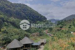 F0 siêu phẩm còn sót lại, đường chục chính, sẵn nhà vườn, giá lại rẻ,tại hòa bình.