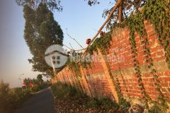 Bán đất diện tích lớn giá rẻ đã có sổ tại xã mỹ phước huyện mang thít tỉnh vĩnh long.