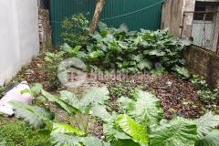 70m2 đất đẹp phú diễn, gần phố, vuông đẹp.