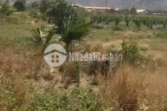 3 mẫu 4 tỷ trung tâm sông phan, hàm tân