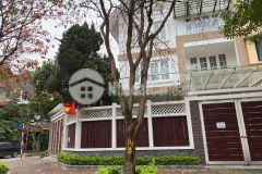 Biệt thự vip bt5 kđt việt hưng,long biên,220m4tmt12m, 39 tỷ,lô góc,đẳng cấp.lh0397194848