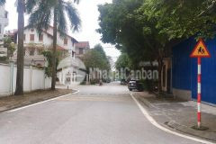 Bán đất lâm hạ, bồ đề, 60m2, mt4.8m, phân lô, ô tô thông, nhỉnh 8 tỷ