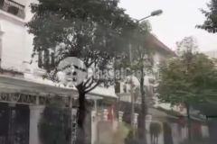 Bán biệt thự 3 tầng làng việt kiều châu âu mỗ lao, diện tích 350 m2.