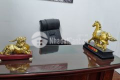 Biệt thự sân vườn nằm trọn trung tâm quận cầu giấy 185m2 mặt tiền 10m