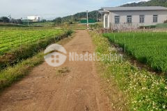 Đất view đồi bên sông đa nhiêm lâm đồng