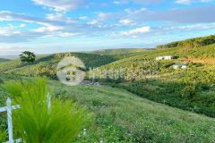 Đất nền nghỉ dưỡng đà lạt 2 ecovill