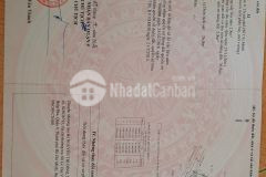 Bán nhà hxh đường quang trung tăng nhơn phú b, diện tích 82m cấp 4