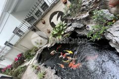 Biệt thự vip bt04 kđt việt hưng,long biên, 246m5tmt14m, 39 tỷ,đẳng cấp.lh0397194848