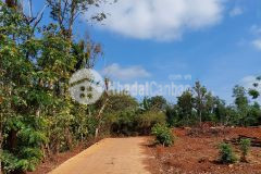 D136 bán đất hẻm cấp 2 buôn ebung xã eatieu cưkuin