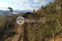 Bán đất nền y tý, gần dự án biệt thự ven đồi cao cấp, view biển mây siêu đẹ