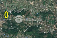 Bán nhanh 1 ha mặt tiền 68m tỉnh lộ 2 chỉ 700 nghìnm2 sông cầu khánh vĩnh khánh hoà