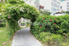 Bán nhà gần công viên mễ trì hạ, ngõ thông, kinh doanh hơn 4 tỷ