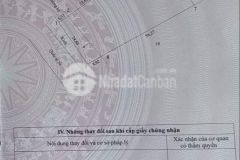 Cần bán gấp đất mỹ hòa giá rẻ tỉnh vĩnh long