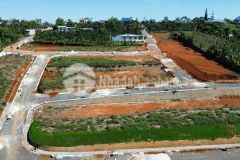 Thị tường sôi động nhờ có sự góp mặt của xavia city